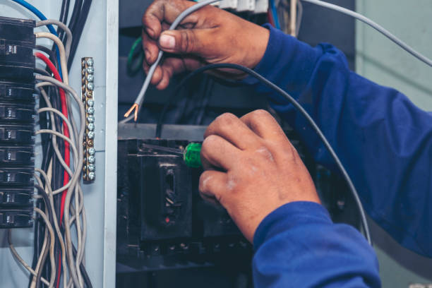 Best Electrical Troubleshooting Services  in Nashville, MI