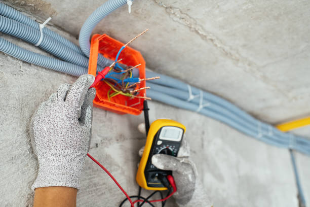 Best Electrical Rewiring Services  in Nashville, MI